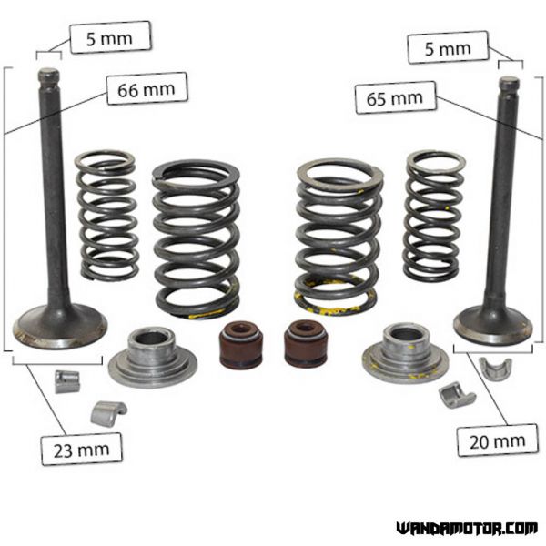 Lifan 110 valve bundle 20/23 mm-1